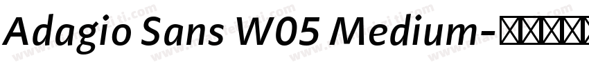 Adagio Sans W05 Medium字体转换